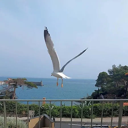 Le Bon Port Отель Коллиур